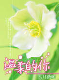 XBOXSERIESS日本