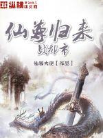 半路夫妻电视剧免费完整版观看