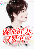 我要打飞机com