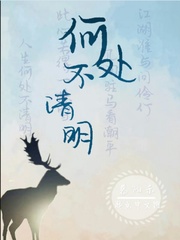 罗慧06全文阅读