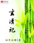 贵妃h
