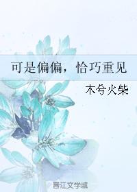 闯关上梁山廖慧敏