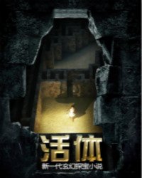 宝莱坞机器人之恋2迅雷下载