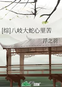 拜见宫主大人小说