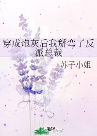 王妃她不讲武德