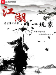 不用网络的电脑游戏