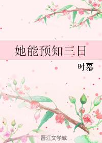 野狼disco原版
