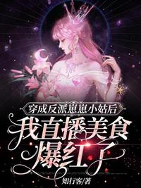 丁丁视频