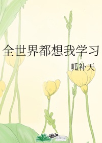 最新永久域名网站