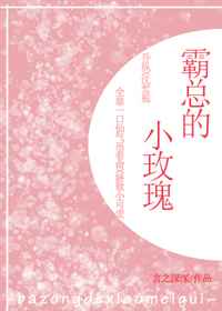飞言情御书屋