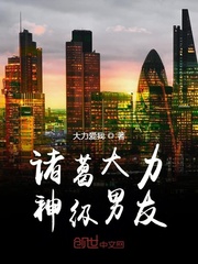 诸葛亮有几个老婆