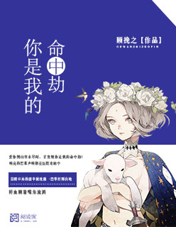 我的兽夫们