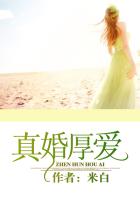 led灯泡