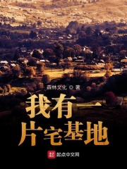 宋无欢之宋氏共妻