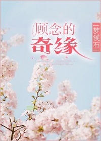 乱系列全文免费阅读