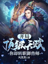 神秘总裁小小妻