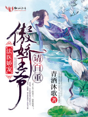 战火西北狼