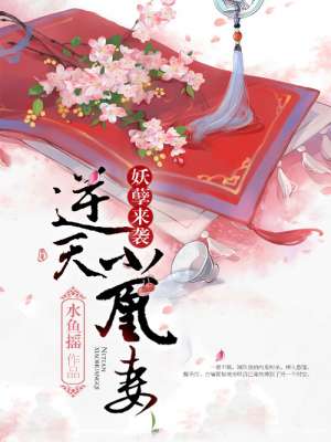 官路风流