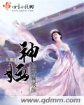 妮可罗宾本子库