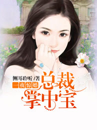 大巴士夜趣导航