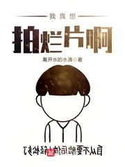 银爵x帕洛斯