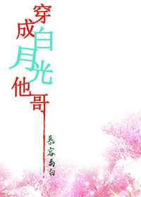 变形金刚天元之力