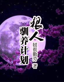 风车动漫免费观看
