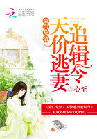 扫黑风暴完整版