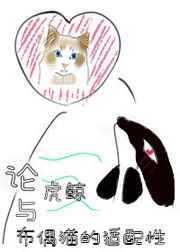新旧约圣经全书