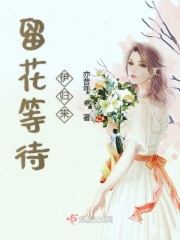 by.3239最新域名查询