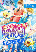 校花程雨柔h文的高中生活