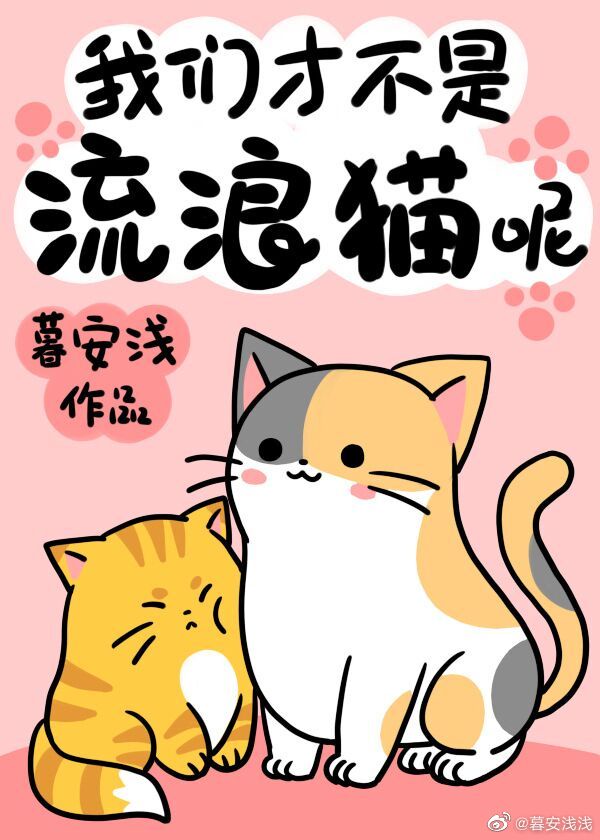 百分百感觉2
