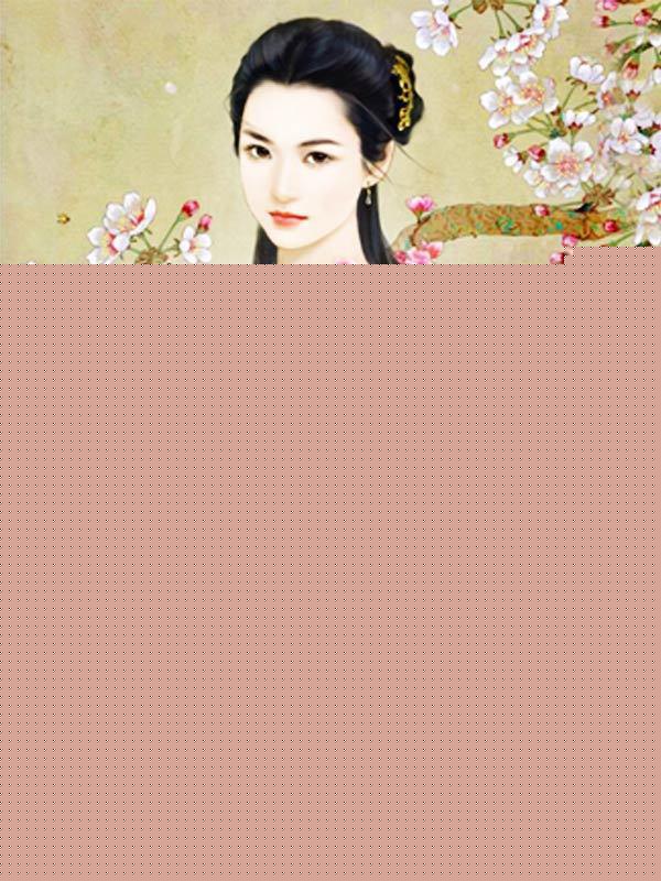 天盛长歌小说