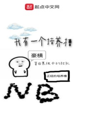 夜书阁小说阅读网