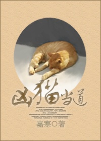 亚洲人体视频
