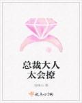 孔中窥见真理之貌