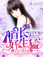 元龙第一季免费观看完整版