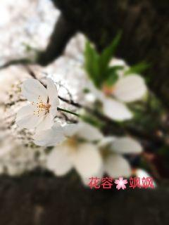 《情书》韩国电影