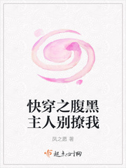 性小说