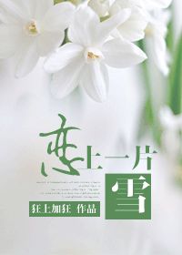 尘埃落定在线观看电视剧完整版