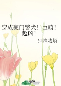 四虎b3t77com