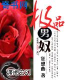 夹芯板