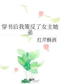 主角建立运朝的小说