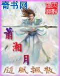 yy直播打扑克