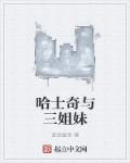 顶楼的大象完整版