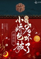 律师皇后