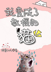 vn视频