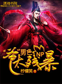 np 限 高h 轮