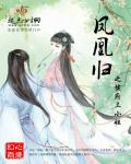 后宫上位记
