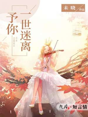 丈母娘和女婿小说